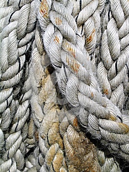 Rope Texture