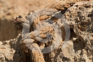 Rope used for support and hauling pearl divers