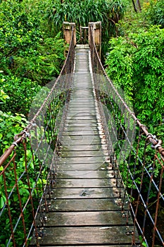 Rope walkway