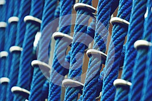 Rope web texture pattern