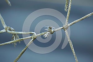 Rope web texture pattern