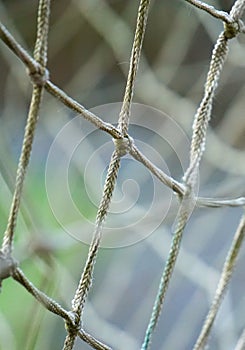 Rope web texture pattern