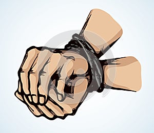 Roped bound hands. Vector drawing