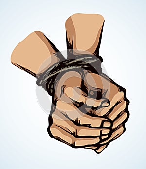 Roped bound hands. Vector drawing