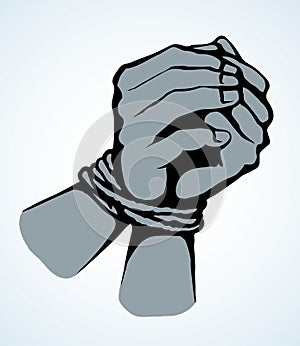 Roped bound hands. Vector drawing