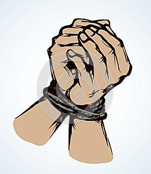 Roped bound hands. Vector drawing