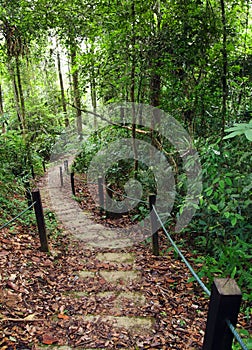 Roped jungle path for safe trekking in mountains photo