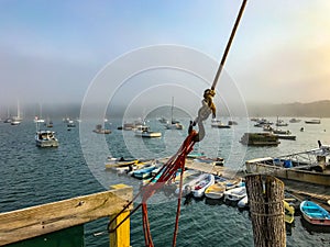 Ropes, Boats and Fog on a Maine Harbor