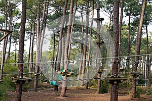 Ropes course in treetop adventure park passing hanging rope obstacle