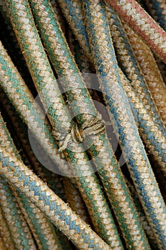 Ropes of a fisherman
