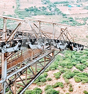 Ropeway pully and wheels