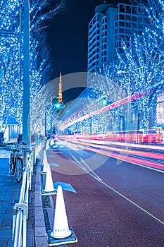 Roppongi Hills Christmas Illumination photo