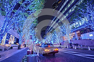 Roppongi Hills Keyakizaka Christmas Illumination