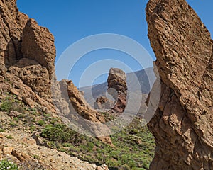 Roque Cinchado surrounded by greenery on a sunny day in the Teide National Park, Spain