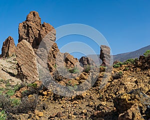 Roque Cinchado surrounded by greenery on a sunny day in the Teide National Park, Spain