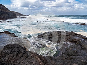 Roque Prieto pools in the north of Grand Canary island, Spain photo