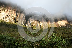 Roraima tepui photo