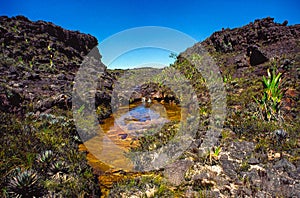 Roraima Tepui Top photo