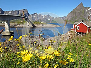 Rorbu hut on Lofoten