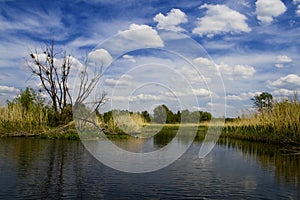 Ros river landscape