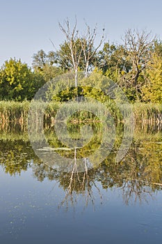 Ros river landscape