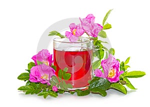 Rosa canina flowers with a herbal infusion photo