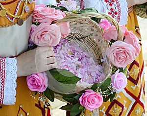 Rosa Damascena from the Rose Valley. Basket full of oil rose. Part of the beautiful `Rose Festival`