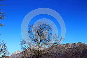 Rosa Khutor mountain views beautiful landscape