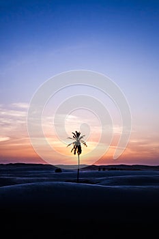 Rosado Beach mobile dunes sunset photo