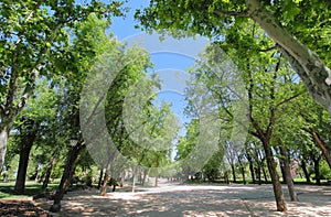 Rosaleda park garden Madrid Spain