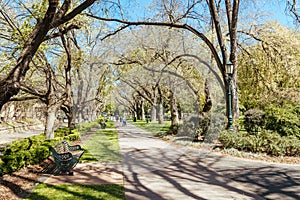 Rosalind Gardens in Bendigo Australia