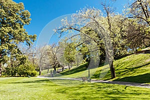 Rosalind Gardens in Bendigo Australia