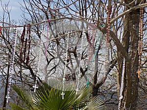 Rosaries hung in the trees.