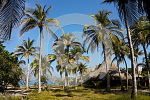 The Rosario Islands. Caribbean, Colombia