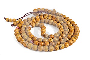 Rosary of 108 dried cherry seeds, isolated