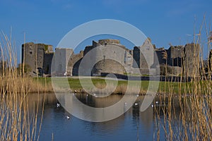 Roscommon castle and lake