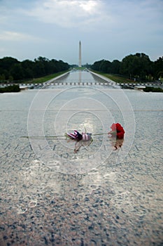 A rose in Abraham Lincoln Memorial