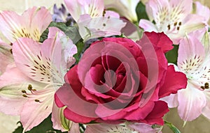 A Rose with Alstroemerias photo