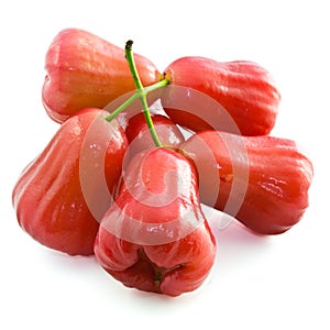 Rose apple