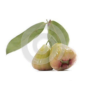 Rose apple or bell fruit on white background