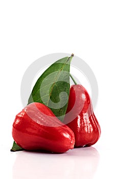 Rose apple or chomphu on white background