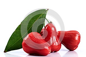 Rose apple or chomphu on white background