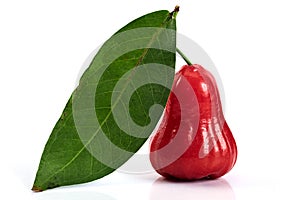 rose apple or chomphu on white background