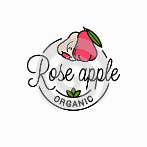 Rose apple fruit logo. Round linear apple slice