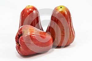 Rose apple isolated on white background