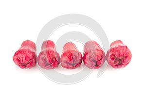 Rose apple isolated on the white background