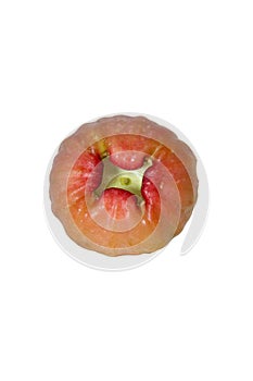 Rose apple isolated white background