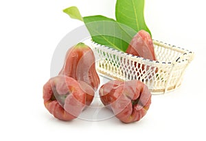 Rose apple isolated on white background