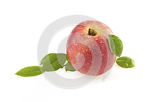 Rose apple with leaves
