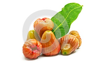 Rose Apple on a white background